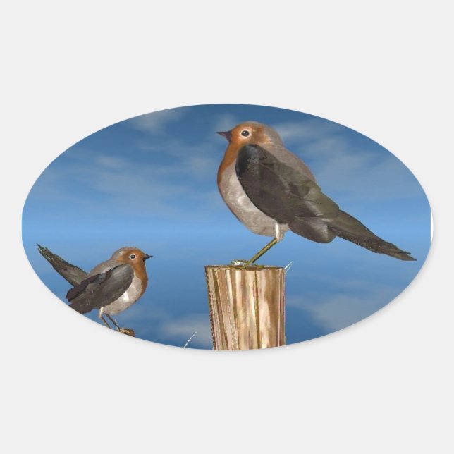 HYPER BIRDS / ROBIN RED BREAST OVAL STICKER (Front)