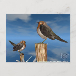 HYPER BIRDS / ROBIN RED BREAST POSTCARD