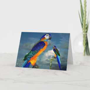 HYPER PARROTS / BLUE ARA CARD