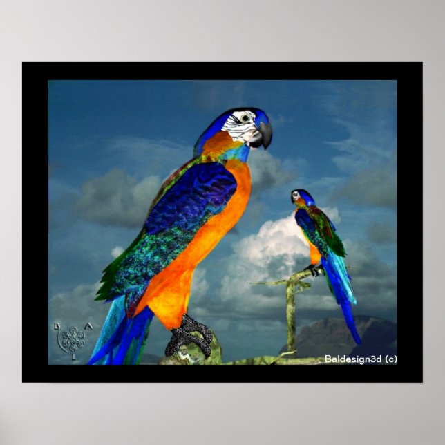 HYPER PARROTS / BLUE ARA POSTER (Front)