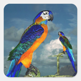 HYPER PARROTS / BLUE ARA SQUARE STICKER