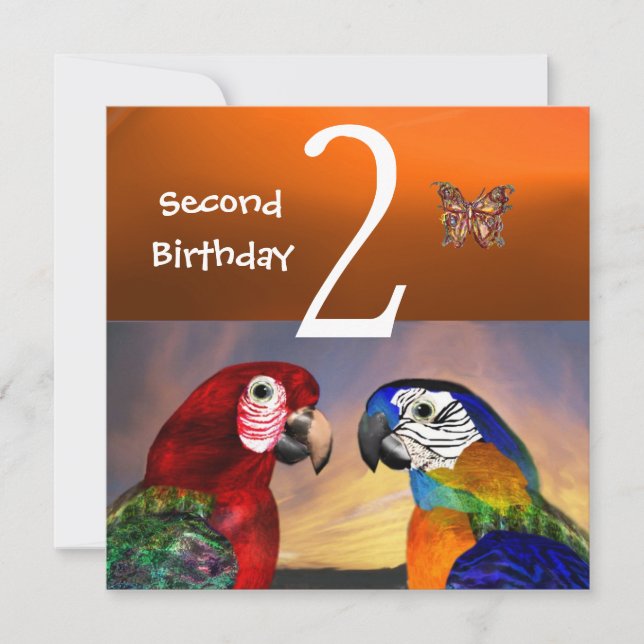 HYPER PARROTS / First Birthday Party, Orange Invitation (Front)