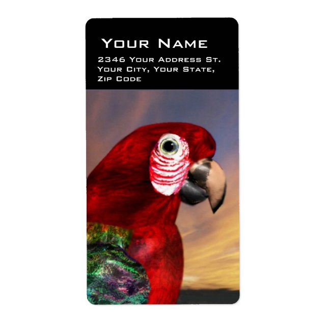 HYPER PARROTS / RED ARA (Front)