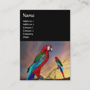 HYPER PARROTS / RED ARA ,black Business Card