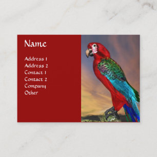 HYPER PARROTS / RED ARA BUSINESS CARD