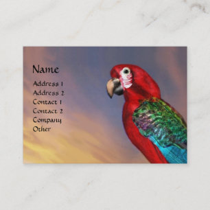 HYPER PARROTS / RED ARA BUSINESS CARD