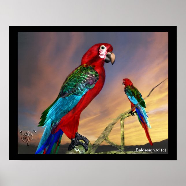HYPER PARROTS / RED ARA POSTER (Front)