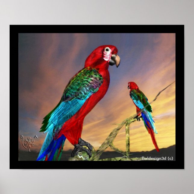 HYPER PARROTS / RED ARA POSTER (Front)