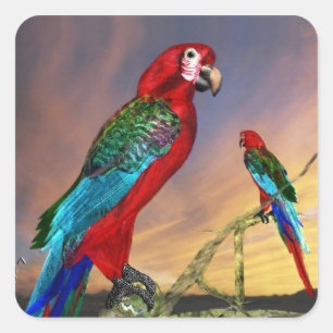 HYPER PARROTS / RED ARA SQUARE STICKER