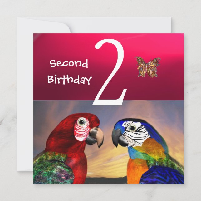 HYPER PARROTS / Second Birthday Party, Fuchsia Invitation (Front)