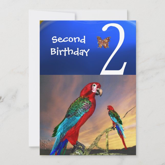 HYPER PARROTS / Second Birthday Party Invitation (Front)