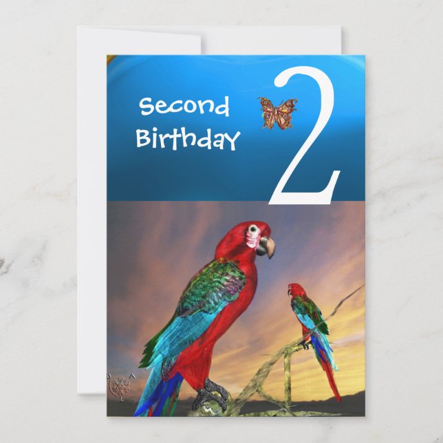 HYPER PARROTS / Second Birthday Party Turquase Invitation (Front)
