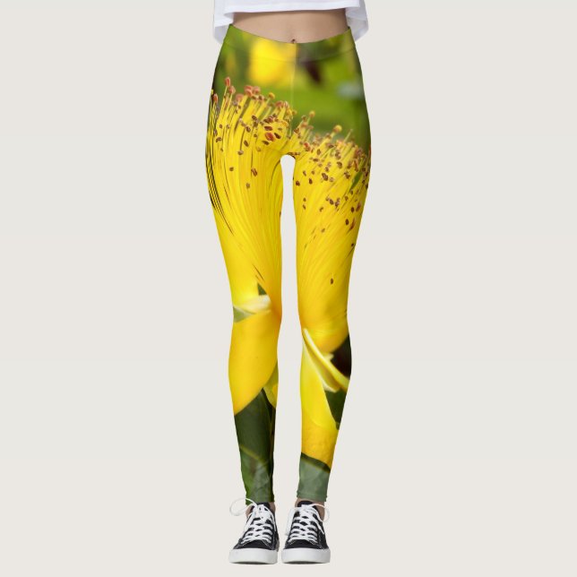 Hypericum Calcyinum Leggings (Front)