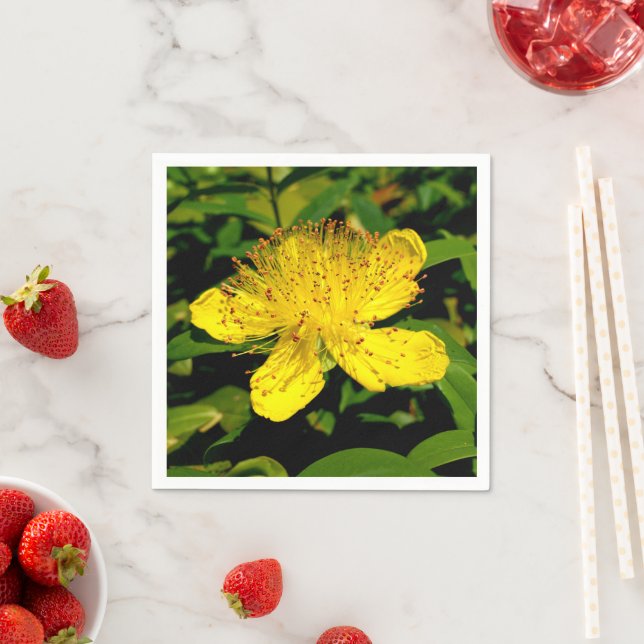 Hypericum calycinum Paper Napkins (Insitu)