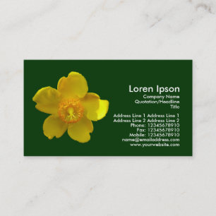 Hypericum Hidcote - Dark Green Business Card