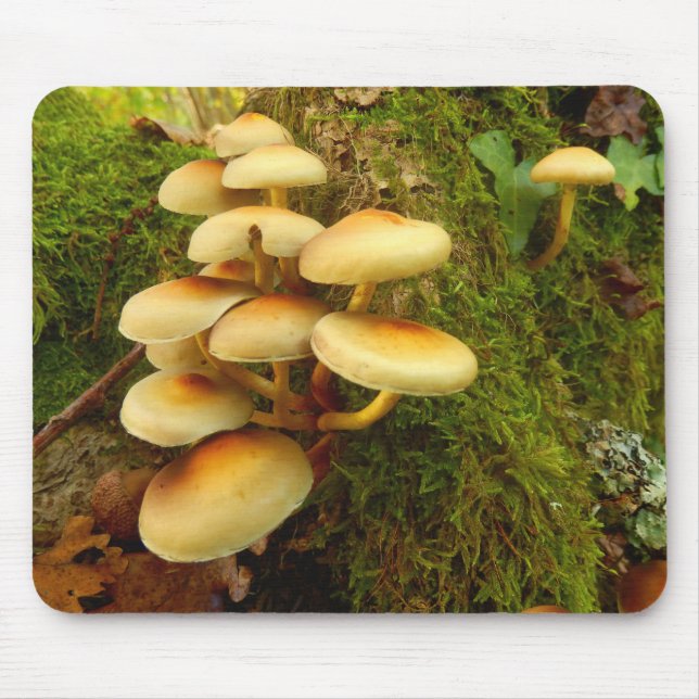 Hypholoma fasciculare Mushroom Mouse Mat (Front)