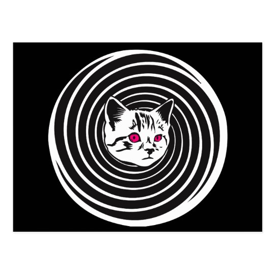 Hypno-Cat Postcard