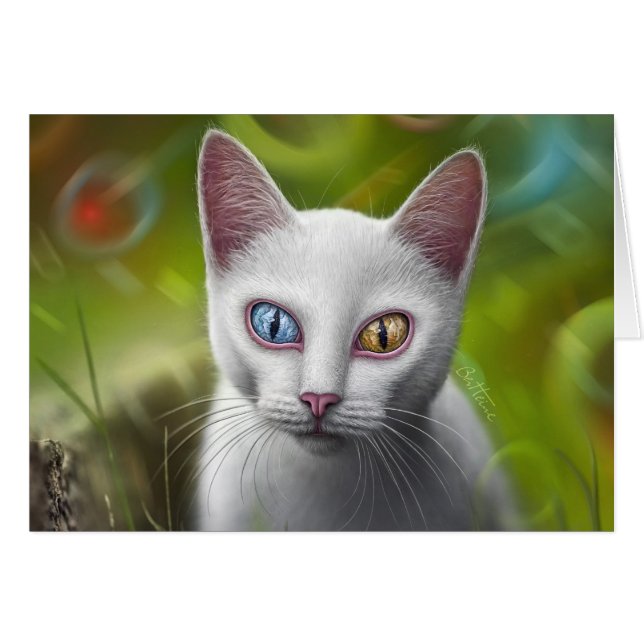 Hypnosis - Van Cat (Front Horizontal)