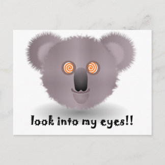 hypnotic koala postcard