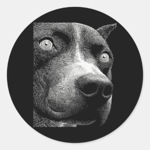 Hypnotic Pit Bull Weird Eyes Weirdcore Spooky Classic Round Sticker