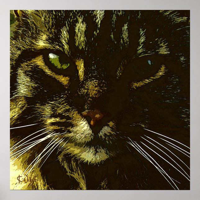 Hypnotising Cat Digital Art Hypnosis Poster (Front)