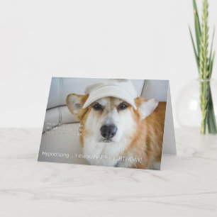Hypnotising Corgi birthday card