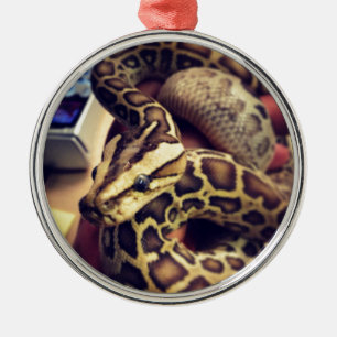 Hypo baby burmese python photo design. metal tree decoration