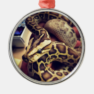 Hypo baby burmese python photo design. metal tree decoration