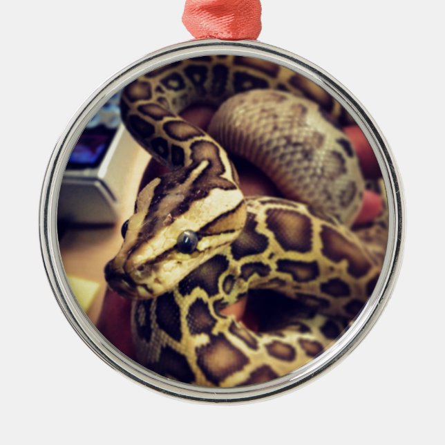 Hypo baby burmese python photo design. metal tree decoration (Front)