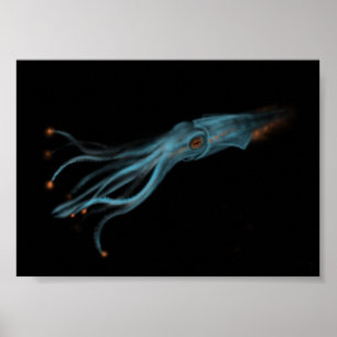 Hypothetical Squid Poster