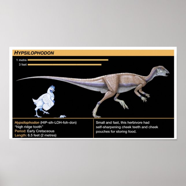 Hypsilophodon - Biology Jurassic Dinosaur Poster (Front)
