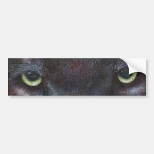 Hyptnotist Eyes Bumper Sticker