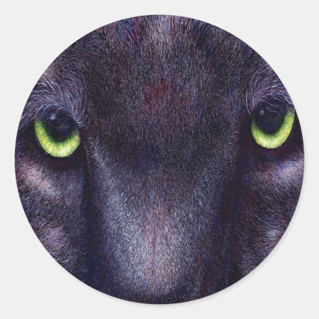 Hyptnotist Stickers (Front)