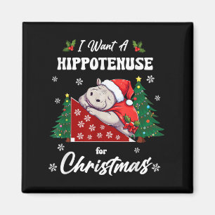 Hytenuse Christmas Math Teacher Kids I Want Hiptam Magnet