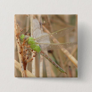 I1 Green Dragonfly 15 Cm Square Badge