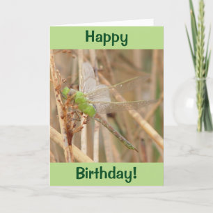 I1 Green Dragonfly Card