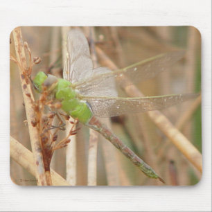 I1 Green Dragonfly Mouse Mat