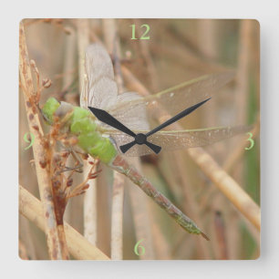 I1 Green Dragonfly Square Wall Clock