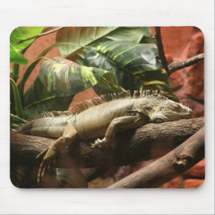 I2 MOUSE MAT