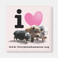 I <3 Pigs Magnet