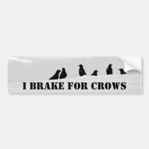 I Always Brake For Crows Bumper Sticker