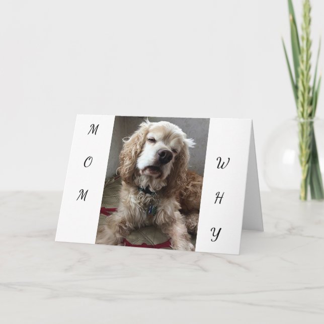 "I AM A LUCKY DOG" to have **YOU** MOM - BIRTHDAY Card (Front)