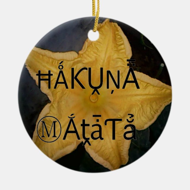 I am a star within. ceramic tree decoration (Front)