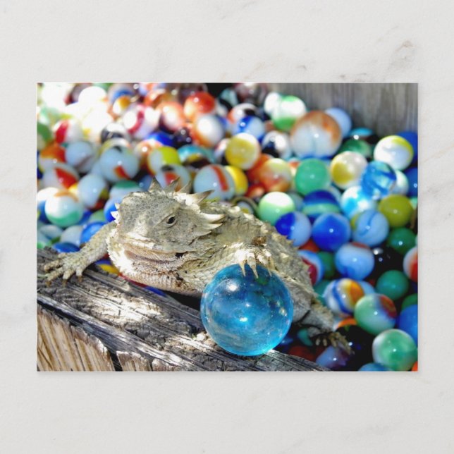 I Am A Straight Shooter --- "Marble Time" Postcard (Front)