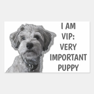 I am a VIP: Very Important Puppy, cute dog Rectangular Sticker