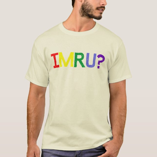 I Am Are You IMRU Rainbow Pride T-Shirt (Front)