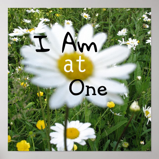 I am at One wildflowers Poster (Front)
