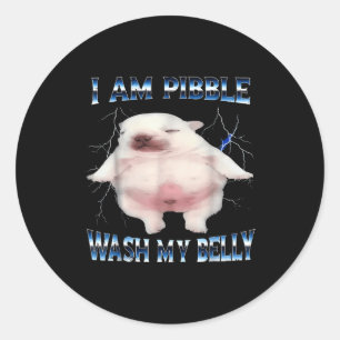I Am Bble Wash My Belly Bble Meme Funny Dog Brainr Classic Round Sticker
