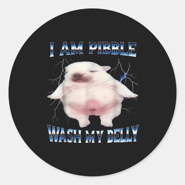 I Am Bble Wash My Belly Bble Meme Funny Dog Brainr Classic Round Sticker (Front)