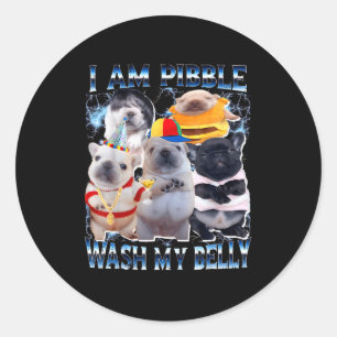 I Am Bble Wash My Belly Bble Meme Funny Dog Brainr Classic Round Sticker